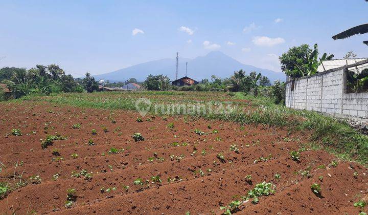 Tanah Subur Strategis Dua Muka Jalur Angkot Dramaga Bogor 2