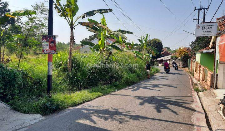 Tanah Bagus Dan Strategis Jalur Angkot Dramaga Bogor 1