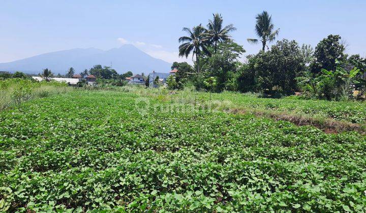 Tanah Subur Strategis View Gunung Dramaga Bogor 2