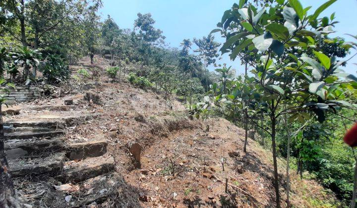 Tanah Kebun Murah Strategis Jalur Angkot Tenjolaya Bogor 2