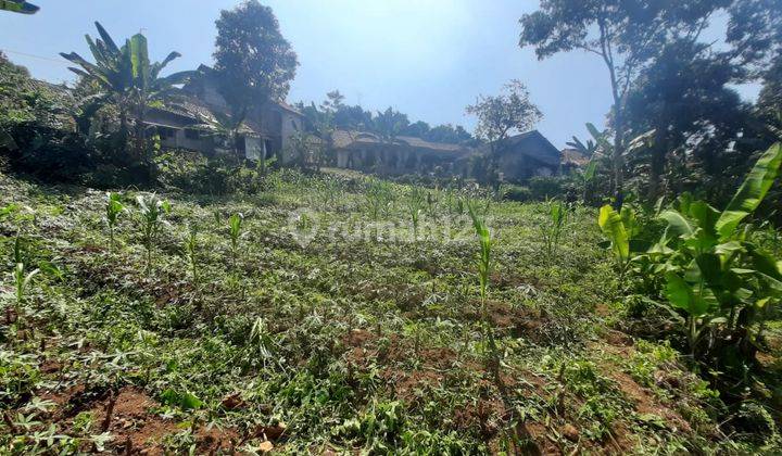 Tanah Subur Murah 1,2 Hektar Di Dramaga Bogor Hanya 140 Ribu M2 2