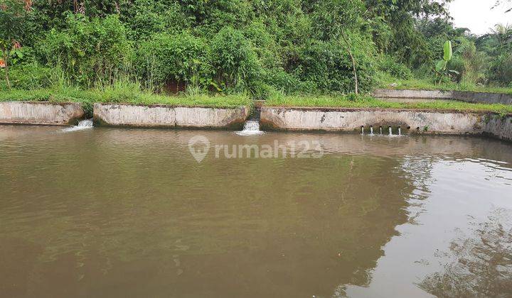 Tanah Kolam Ikan Air Deras 7.000 m² Di Dramaga Bogor 1