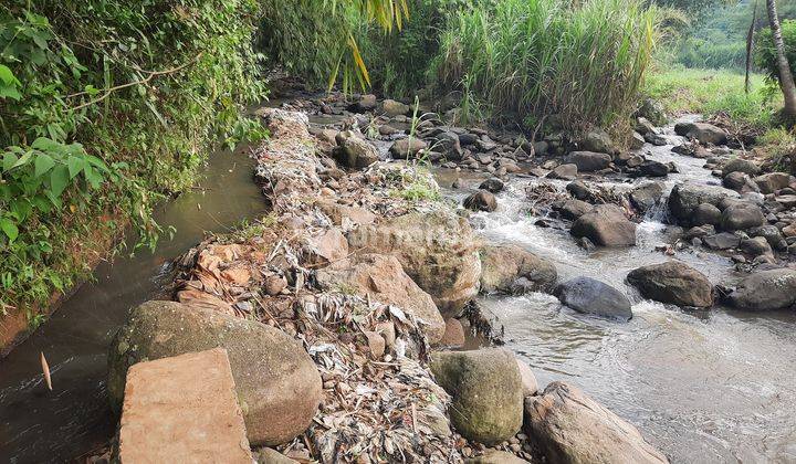 Tanah Kolam Ikan Air Deras 7.000 m² Di Dramaga Bogor 2