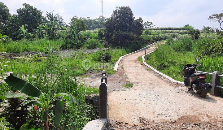 Tanah Subur Strategis 8.700 m² Jalur Wisata Gunung Salak 1