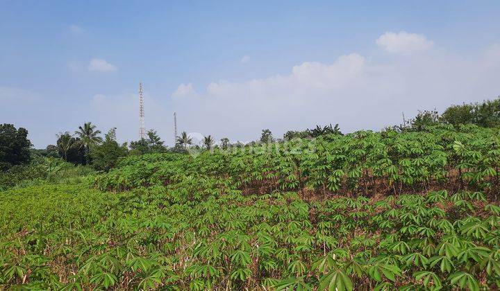 Tanah Subur Strategis 8.700 m² Jalur Wisata Gunung Salak 2