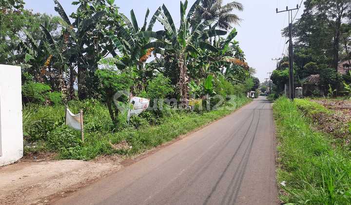 Strategic SHM Land on the Main Road of Ciampea Tourism Village, Bogor Strategic SHM Land on the Main Road of Ciampea Tourism Village, Bogor