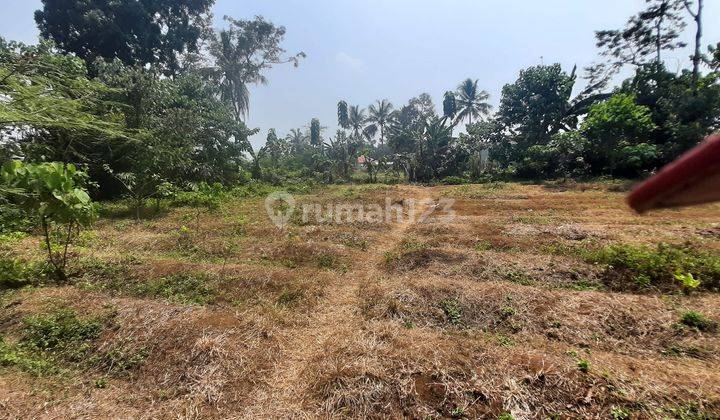 Tanah 1.526 m² Strategis di Jalur Wisata Gunung Salak Ciampea 2