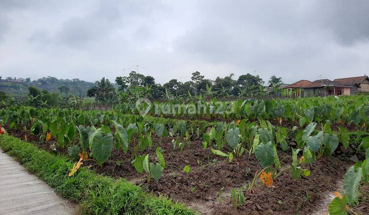 Tanah Subur View Gunung Luas 1.800 m² di Gn Bunder Pamijahan 2