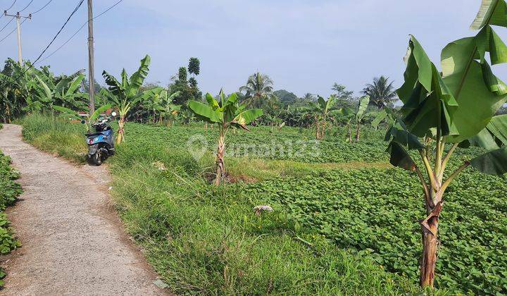 Tanah 2.009 m² Strategis Jalur Wisata View Gunung di Pamijahan 1