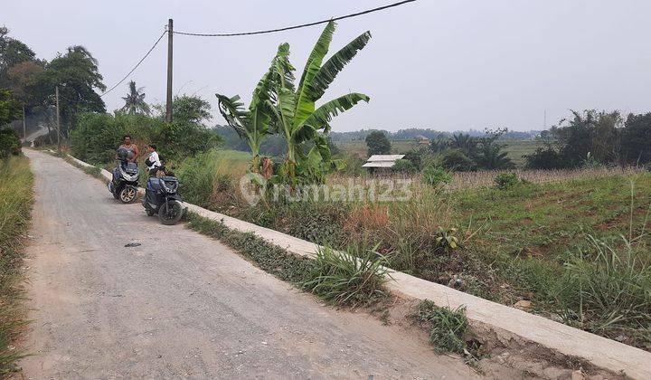 Tanah Murah SHM 2.000 m² Dekat Kampus Ipb Dramaga Bogor 1