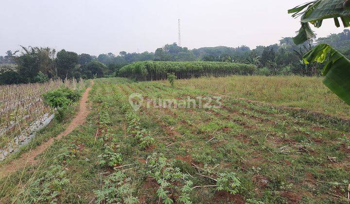 Tanah Murah SHM 2.000 m² Dekat Kampus Ipb Dramaga Bogor 2