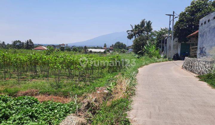 Tanah View Cantik Gunung Salak Sukawening Dramaga Bogor 1