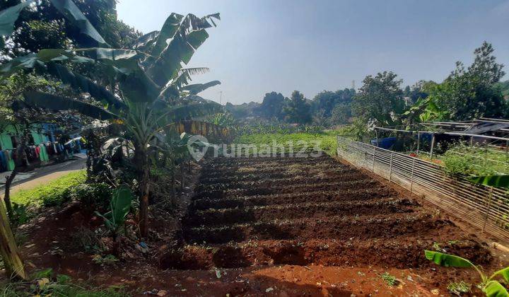 Tanah untuk Kost Mahasiswa Kampus IPB Dramaga  1