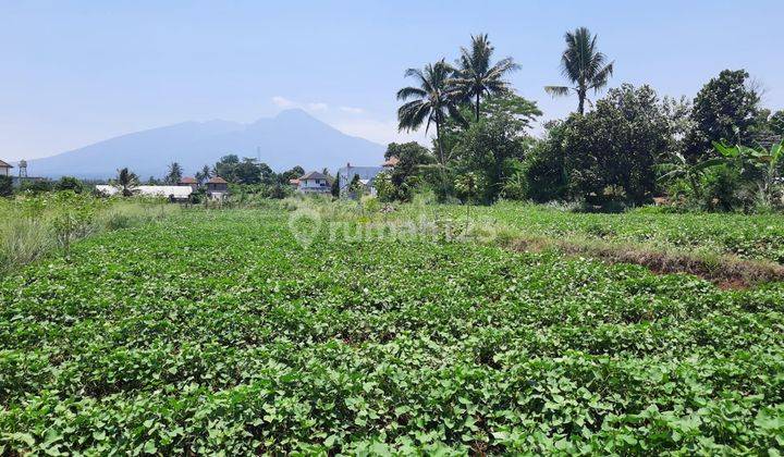 Tanah View Cantik Gunung Salak Sukawening Dramaga Bogor 2