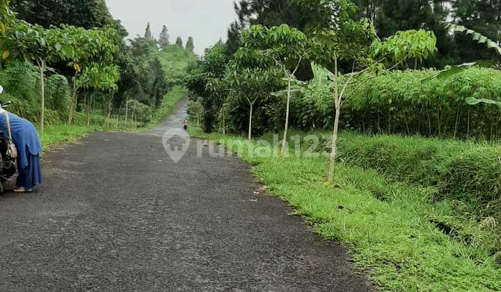 Prime Land with Beautiful Views in Pamijahan Tourism Area, Bogor
