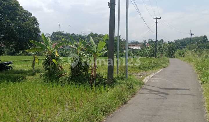 Tanah Subur Murah View Cantik Jalur Wisata Pamijahan Bogor 2