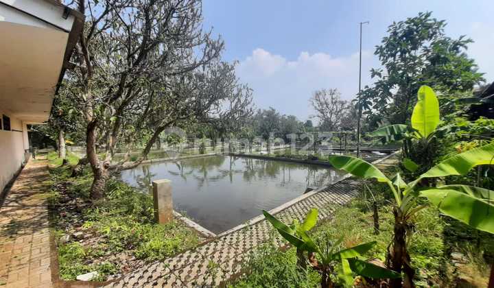 Strategic Land for Villa with Fish Pond for Cafe & Restaurant Strategic Land for Villa with Fish Pond for Cafe & Restaurant