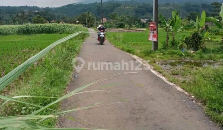 Cheap Fertile Land Beautiful View Pamijahan Bogor Tourist Route Cheap Fertile Land Beautiful View Pamijahan Bogor Tourist Route
