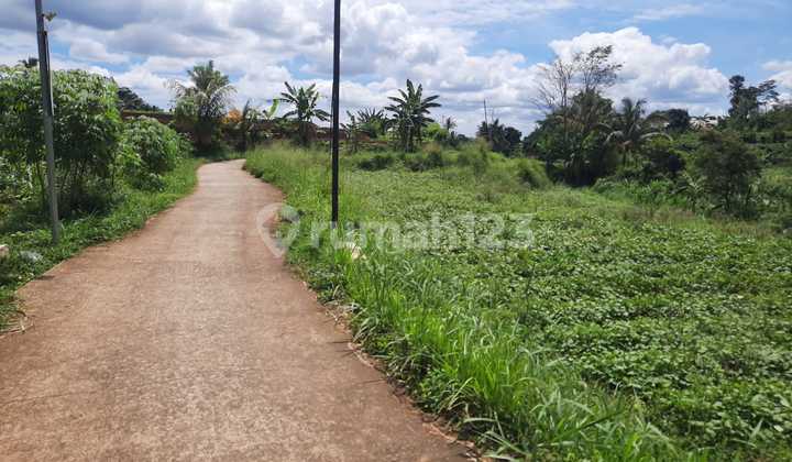 Tanah Murah Subur View Gunung Sukawening Dramaga Bogor 