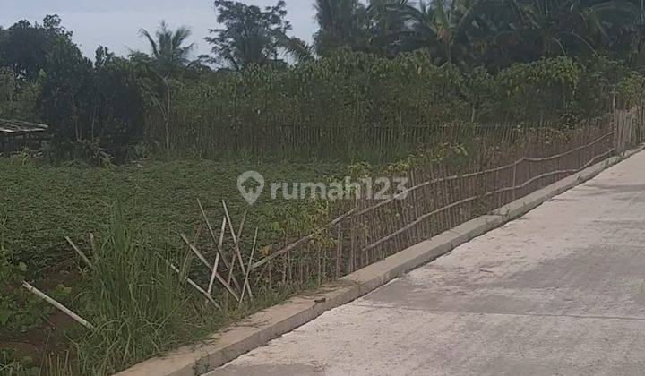 Tanah Strategis Ring Kampus IPB cocok untuk Kost Mahasiswa  2