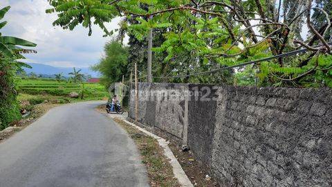 Tanah Villa Kebun Jalur Wisata Untuk Caffe & Resto 2