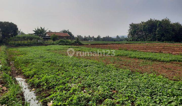 Tanah Komersil Murah Strategis di Atang Sanjaya Semplak Bogor 1