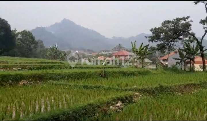 TANAH SHM SUBUR VIEW CANTIK KAWASAN WISATA PAMIJAHAN BOGOR