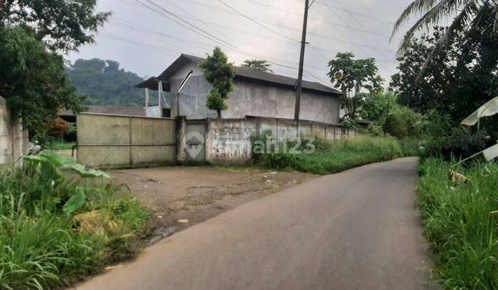 JUAL CEPAT PETERNAKAN AYAM PETELUR PRODUKTIF RUMPIN BOGOR 1