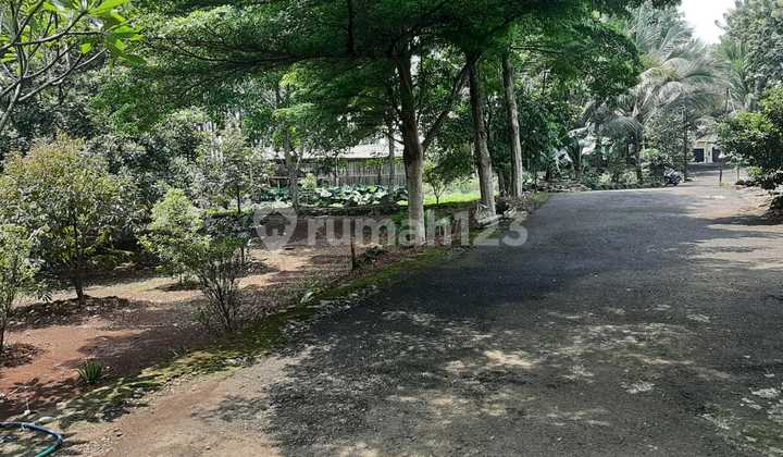 LAND FOR VILLA KEBUN JATI FOR CAFFE & RESTO KEBUN CIAMPEA BOGOR LAND FOR VILLA KEBUN JATI FOR CAFFE & RESTO KEBUN CIAMPEA BOGOR