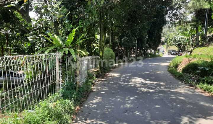 TANAH CANTIK DAN STRATEGIS JALUR UTAMA PUNCAK 2 SUKAMAKMUR BOGOR TANAH CANTIK DAN STRATEGIS JALUR UTAMA PUNCAK 2 SUKAMAKMUR BOGOR