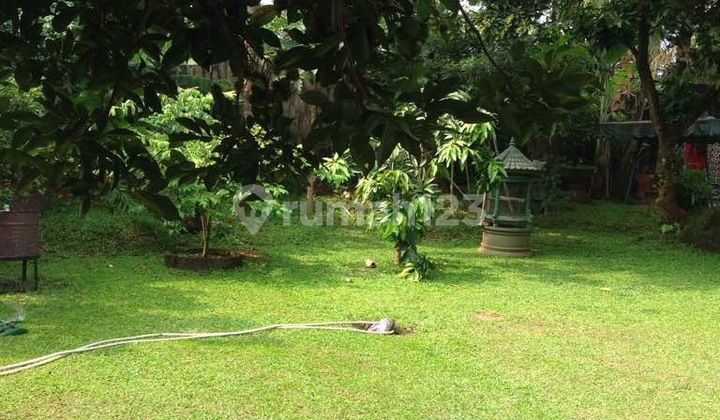 Tanah Tb Simatupang Tanah Tb Simatupang