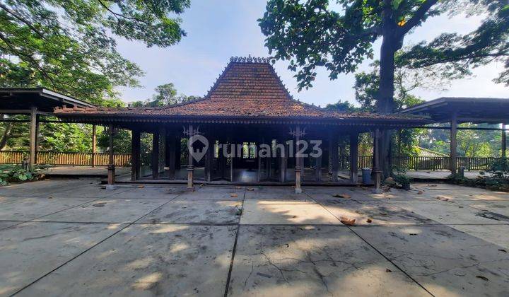 Rumah Etnik Di Jeruk Purut Buntu 1