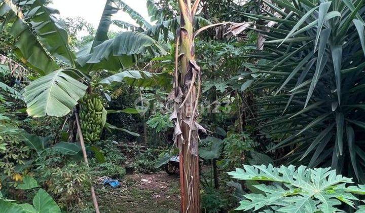 Tanah Pondok Bambu Duren Sawit Jakarta Timur 6