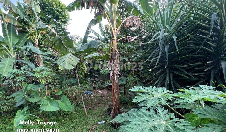 Dijual Lahan Kosong di Pondok Bambu, Jakarta Timur 2