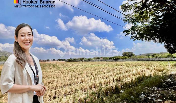 Tanah Pinggir Jalan Raya Cocok untuk Pergudangan, Hotel dan Perumahan Karawang Barat