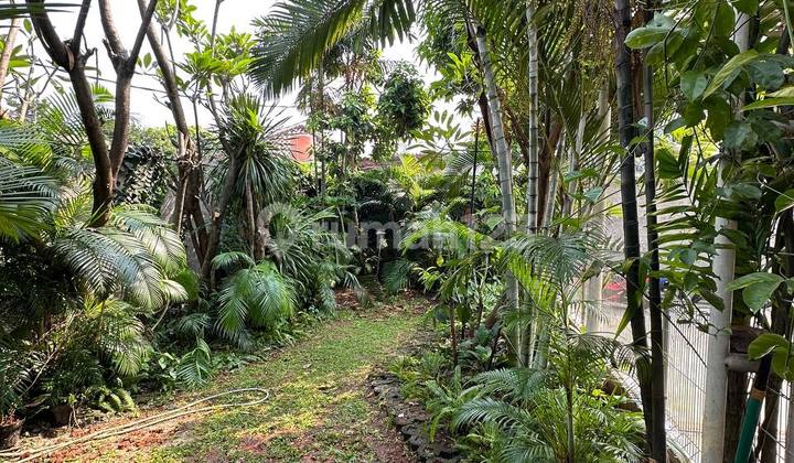 Rumah dengan Konsep Hijau di Komplek Palem Residence Pondok Bambu Duren Sawit Jakarta Timur