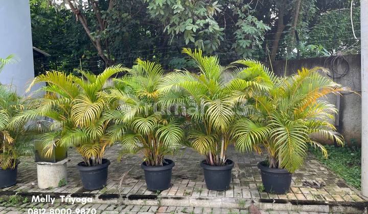 Rumah Siap Huni di Cluster Teras Grandwiz Mustika Jaya Dekat Grand Wisata Bekasi 2