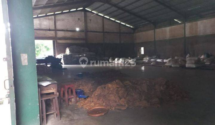 DIJUAL Gudang Tulungagung Pabrik Sukorejo Wetan HITUNG TANAH 1