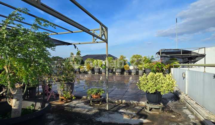Dijual Rumah Modern Tropis With Rooftop Posisi Hook Di Kayu Putih Jakarta Timur  2