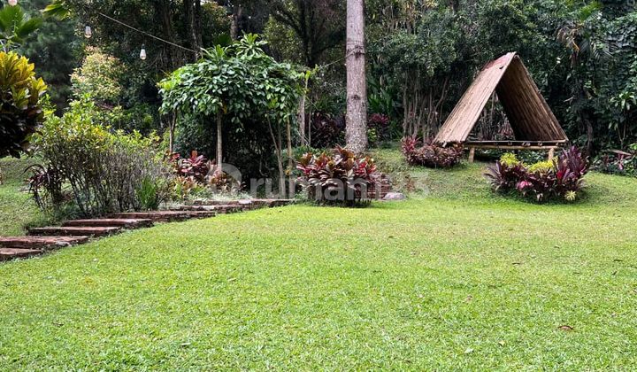 FOR SALE ACTIVE FULLY FURNISHED HOTEL WITH 2.5 HA AREA IN SENTUL PUNCAK BOGOR 2