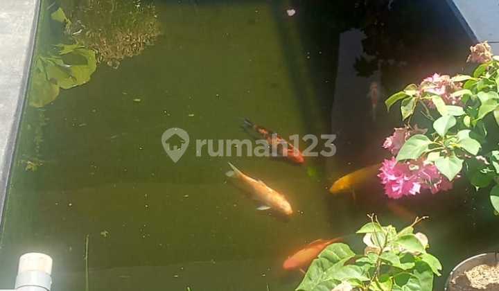 2-Story House For Sale Rare Price in Batu Karut Hamlet, Sumedang 2-Story House For Sale Rare Price in Batu Karut Hamlet, Sumedang