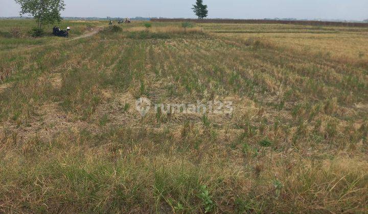 Tanah Dijual Luas Datar di Area Kertajati , Majalengka 1