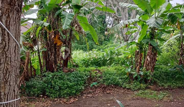 Tanah Strategis Dijual Sayap Gegerkalong Bandung Utara 51 Tanah Strategis Dijual Sayap Gegerkalong Bandung Utara 51