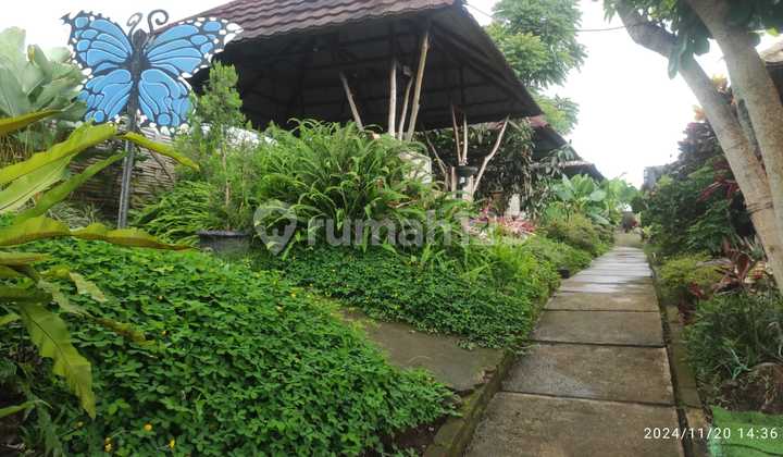 Tanah Dijual Cocok Buat Usaha Sayap Padalarang Bandung Barat