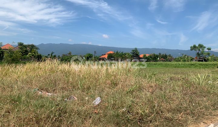 Beachfront Land for Sale – Pantai Indah, Singaraja