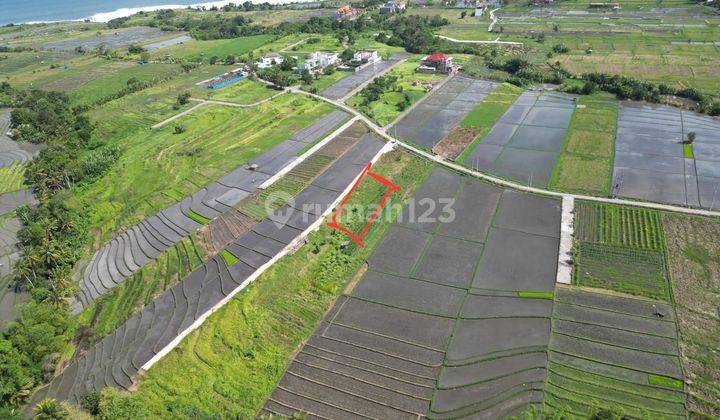 Available Land For Leasehold In Kedungu, Tabanan 1