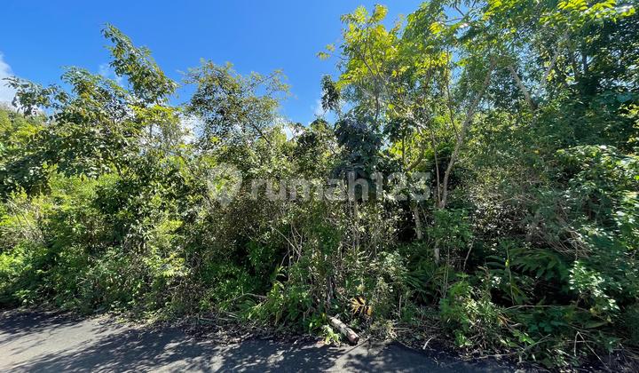 TANAH GLOBAL LOKASI PARIWISATA COCOK UNTUK INVESTASI 