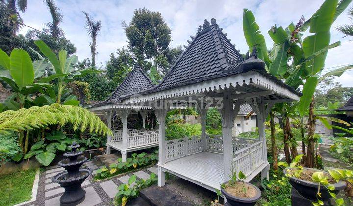 For sale or rent Joglo Villa, New Building, Large Yard in Payangan-Ubud, Gianyar 2