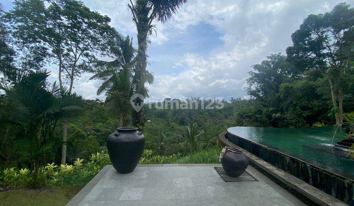 Dijual Villa Besar Lokasi sangat Tenang di Ubud, Gianyar 1