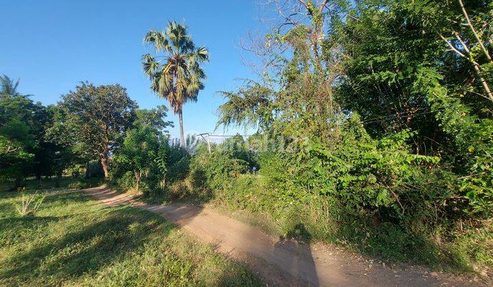 Dijual Tanah View Laut Di Bukit Asah, Desa Bug Bug, Karangasem 5